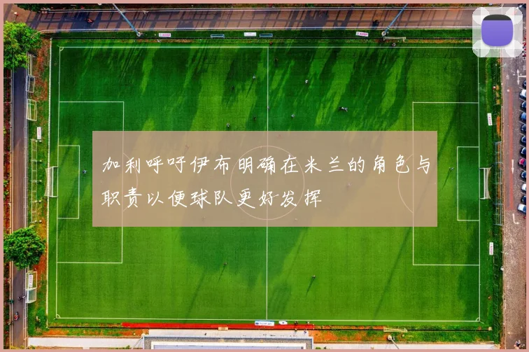 加利呼吁伊布明确在米兰的角色与职责以便球队更好发挥